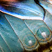 Laura Demers Photo 17