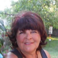 Nancy Olmstead Photo 13