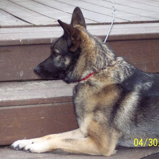 Nancy Berkey Photo 17