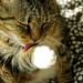 Marlene Brown Photo 6