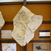 Abbey Stone Photo 15
