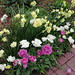Rose Mize Photo 10