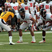 Brandon Stevenson Photo 15