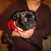 Susan Mayo Photo 39