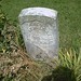 Virgil Stephens Photo 12