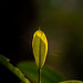 William Warble Photo 13