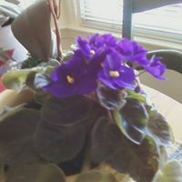 Margaret Machado Photo 2