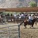Heidi Peterson Photo 8