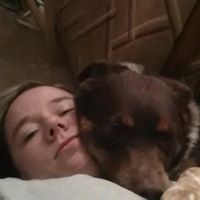 Shannon Mcintire Photo 5