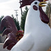 Virginia Scruggs Photo 9