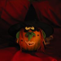 Debbie Bowe Photo 9