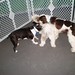 Susie Wiley Photo 10