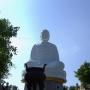 Son Tung Photo 9