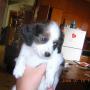 Barbara Roark Photo 25