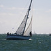 Deborah Hurst Photo 15