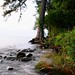 Madison Ross Photo 13