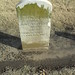 Kathleen Cavanaugh Photo 13