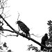 Richard Poe Photo 22