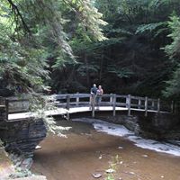 Mark Cassell Photo 14