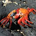 Sally Stone Photo 29
