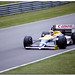 Nelson Williams Photo 9