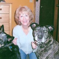 Mary Cavanaugh Photo 30
