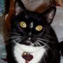 Lisa Whitlock Photo 22