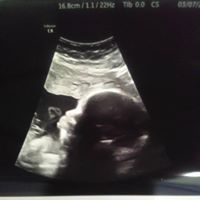 Janelle Taylor Photo 36