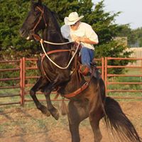 Carl Tipton Photo 4