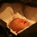 Anne Molloy Photo 14
