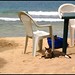 Tara Beach Photo 19