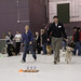 Karl Carter Photo 23