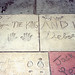 Deborah Lemmon Photo 14