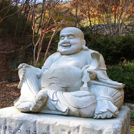 Tim Cho Photo 16