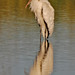 Jenny Stork Photo 6