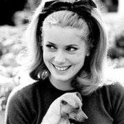 Marjorie James Photo 11