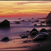 Martha Rich Photo 28
