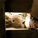 Kevin Farmer Photo 28