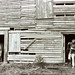 Elmer Howell Photo 4