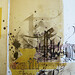 Kevin Schaeffer Photo 18
