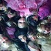 Shelly Stacy Photo 16