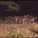 Gil Garner Photo 4