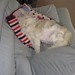 Sue Burgess Photo 11