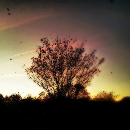Debra Knight Photo 7