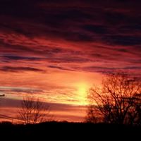 Andrew Colvin Photo 40