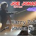 Harry Jonas Photo 16