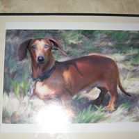 Albert Clements Photo 5