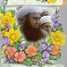 Muhammad Mian Photo 15