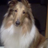 Debra Hendrick Photo 1
