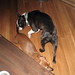 Roger Bailey Photo 23